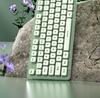 Ultra-Quiet Illuminated Mechanical Feel Wired Keyboard & Wireless Mouse Set for Office & Tablet Use