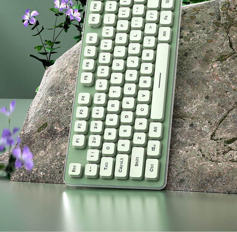 Ultra-Quiet Illuminated Mechanical Feel Wired Keyboard & Wireless Mouse Set for Office & Tablet Use