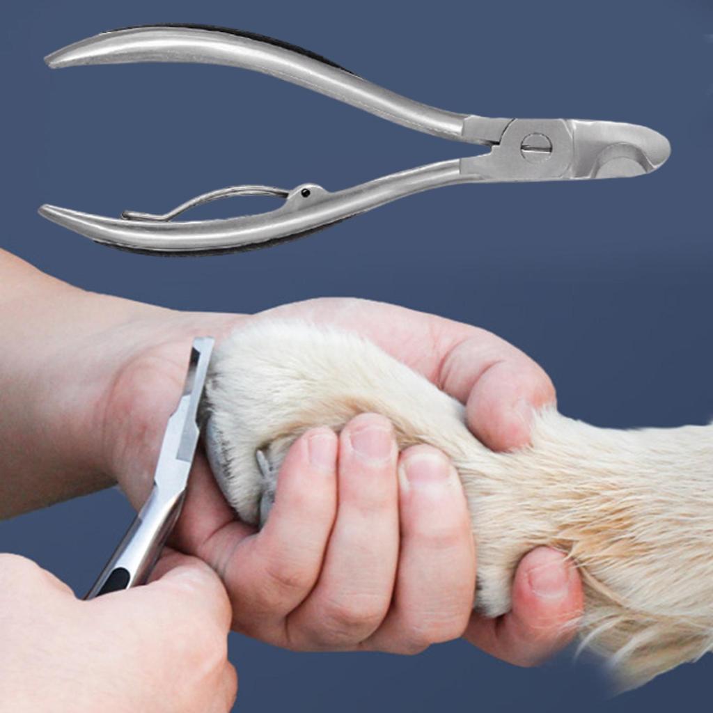 Dog Nail Clippers For Large Dogs Heavy Duty Stainless Steel Cutter Pet Nail Clippers For Large Medium Breeds Travel Cat Pet