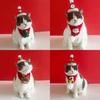 Weihnachts-Haustierschal- und Hut-Set mit Cartoon-Rentier für kleine Hunde und Katzen