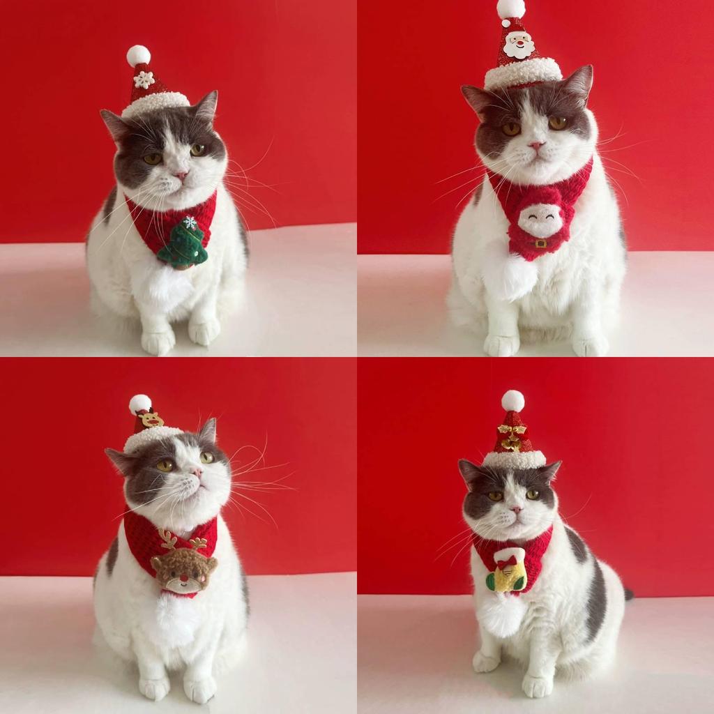 Weihnachts-Haustierschal- und Hut-Set mit Cartoon-Rentier für kleine Hunde und Katzen