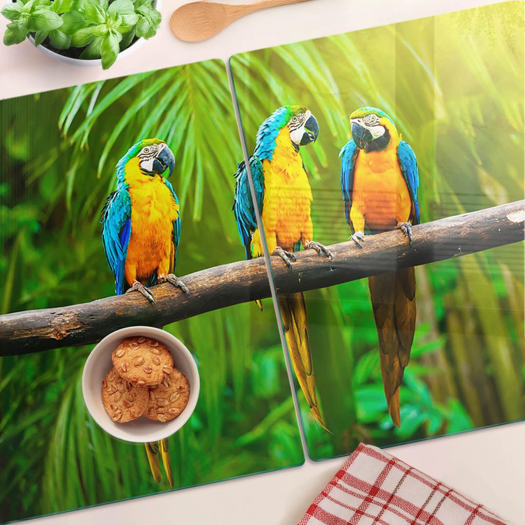 Tempered Multifunctional Decorative Glass Boards Parrot Branch 2x40x52 Cm