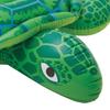 INTEX Lil' Sea Turtle Ride-On Float, 150 x 127 cm, 57524 [Official Japanese Product]