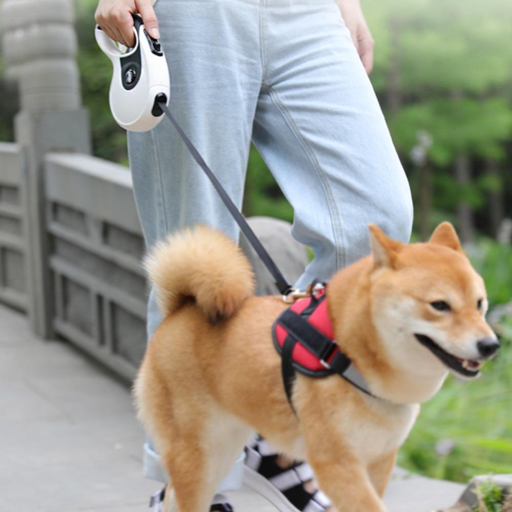 8M Retractable Dog Leash Durable Nylon Pet Walking Running Rope Long Automatic Flexible Puppy Dog Leashes Lead With Garbage Box Decoration