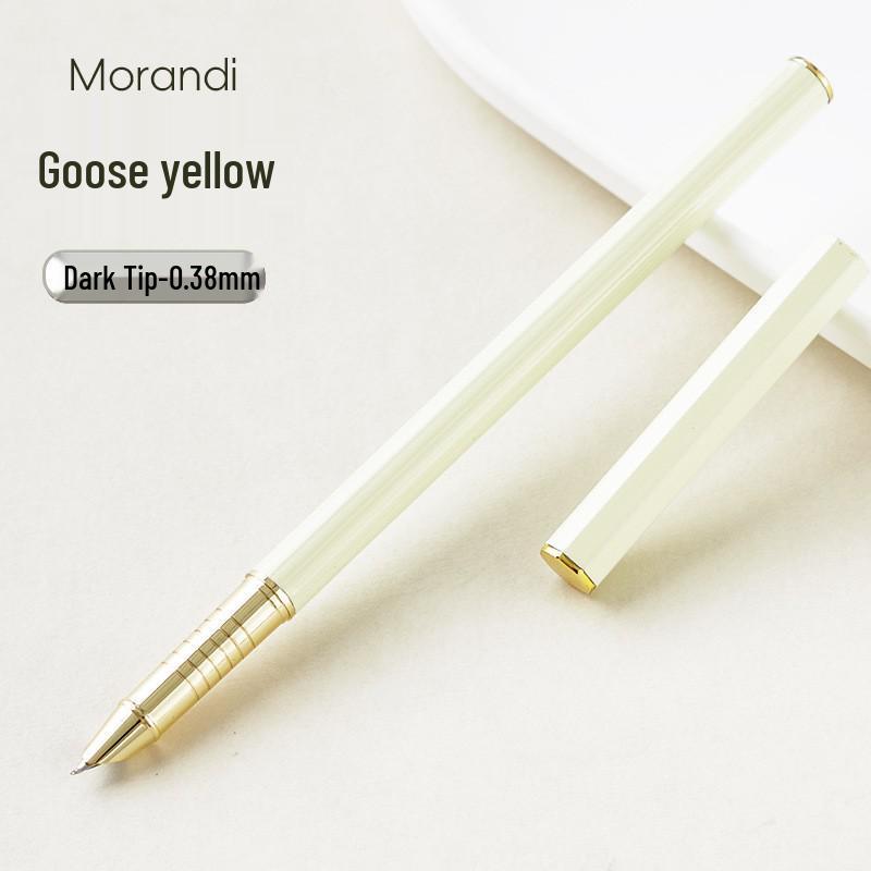Children's Fine Nib Fountain Pen Set with Engravable Option, Includes Replaceable Ink Cartridges for Student Calligraphy Practice.