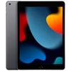 Apple IPad (9th Generation) 10.2-inch (2021) (CN Version)