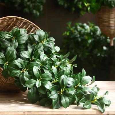 Artificial Plants 70 Cm/27.5 Inch Long Evergreen Plant Leaf Wall Room Patio Indoor and Outdoor Wedding Decoration