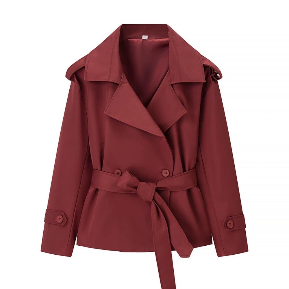 2026 Autumn Women's Fashion: European & American Style Long Sleeve Waist-Cinching Dress