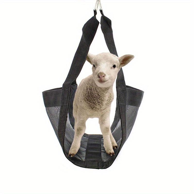 Small Animal Hanging Scales for Weighing Livestock and Animals Calf Scales with Calf Straps. Livestock Straps