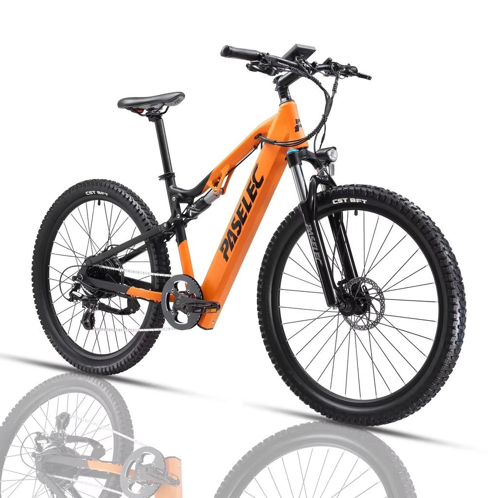 Adult Electric Mountain Bikes GS9 Plus1000W 4.0 Fat Tire 26 Inch Ebike48V, 17Ah