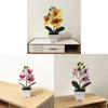 Butterfly Orchid Artificial Plant With Plastic Material For Home Decor And Photography Props