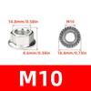 M8/M10 T-Bolt Kit 304 Stainless Steel (A2-70) - T-Screws Locking Tooth Flange Nuts - for Solar Panel Mounting PV Rails Greenhous