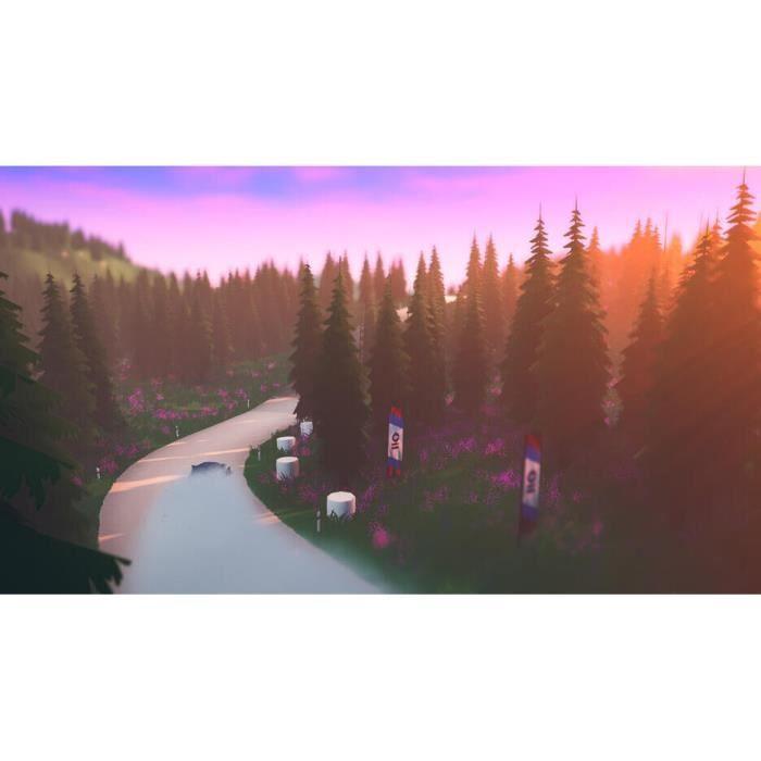 Jeu Vidéo - Art Of Rally - Deluxe Edition - Nintendo Switch - Course - PEGI 7+