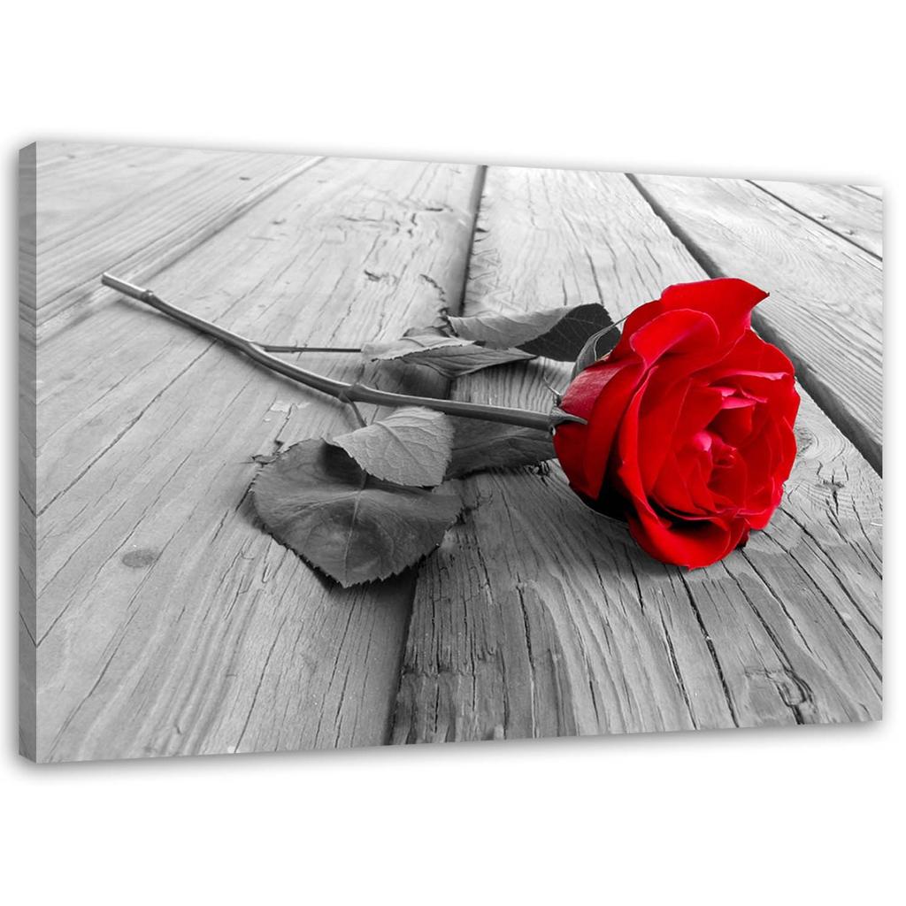 Canvas Print, Red Rose
