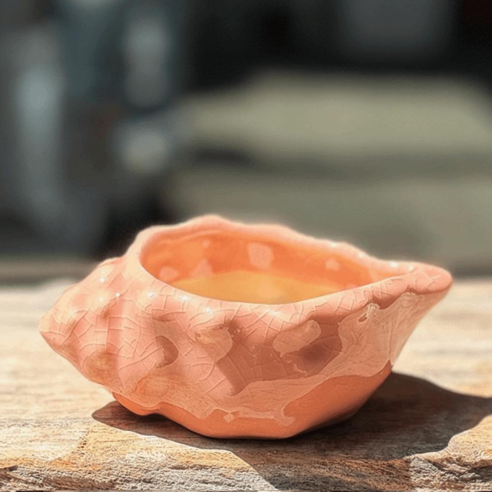 Small Conch Flowerpot Small Capacity Succulent Flowerpot New Gardening Supplies Indoor Decor
