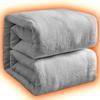 AYO Single Winter Perfect for Perfect for Throws and Half Perfect for Air Soft Microfiber Suitable for All Light Blanket, Midwinter, Blankets, Winter,