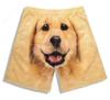 Fashion shorts for dogs and pets, 3D prints for men, beautiful summer shorts, pajamas for animals