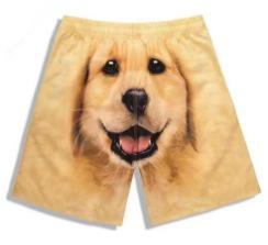 Fashion shorts for dogs and pets, 3D prints for men, beautiful summer shorts, pajamas for animals