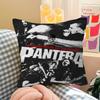 P-Pantera Rock Band Cushion Cover Polyester Sofa Cushions Decorative Throw Pillows Home Decoration Pillowcover