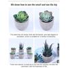 6 Pcs Artifical  Succulents  Potted  Plants Realistic Simulation Plants Practical Home Office Desk Ornaments For Indoor Outdoor Decoration