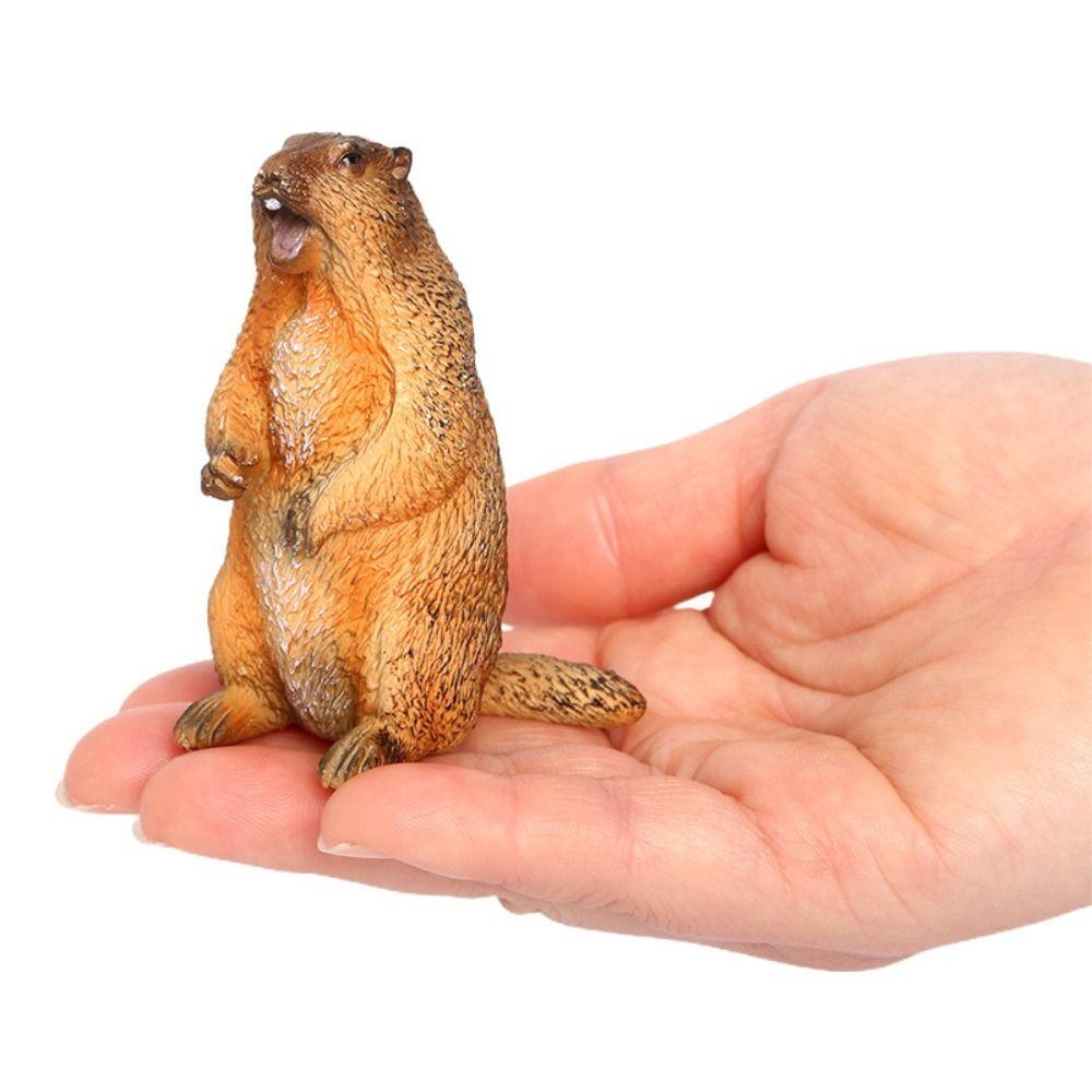 PVC Wild Animal Figurine Marmot Plastic Groundhog Ornament Realistic Animal Ornament  Office