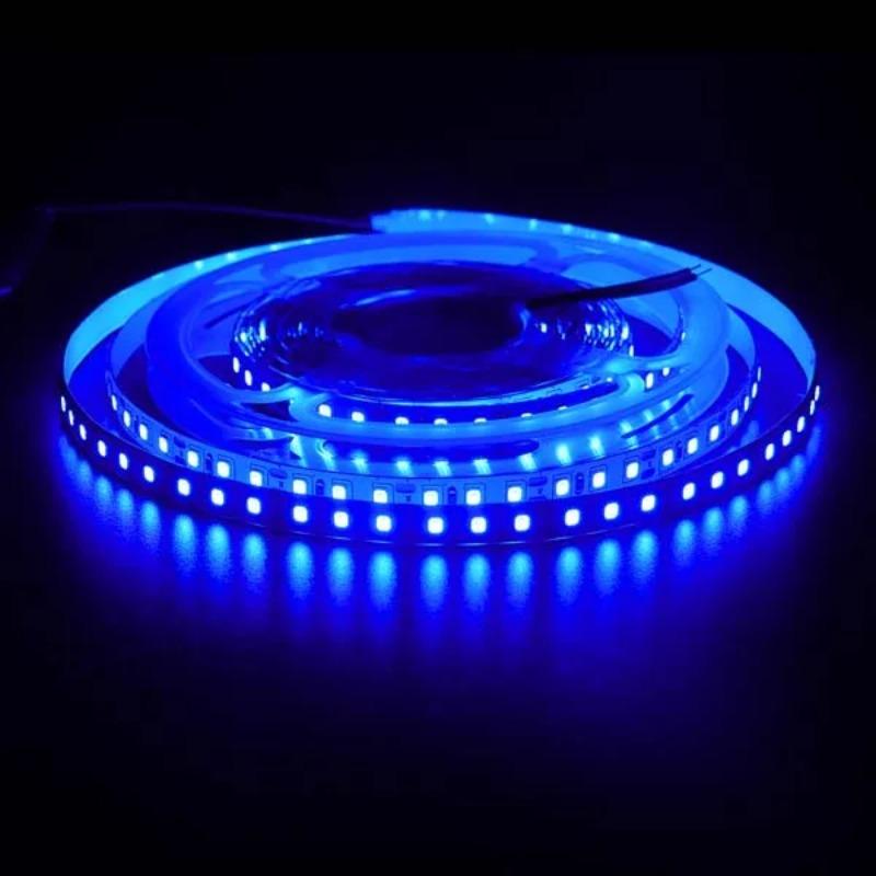 IP65 Wasserdichter 2835 LED-Streifen 5M 12V, 300LED Flexibles Bandlicht, Weiß Warmweiß Blau Grün Rot für Heimdekoration