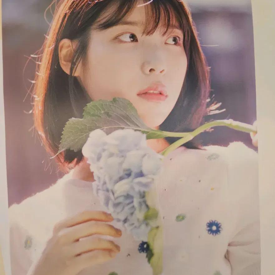 

IU Постер «Цветочные шарики 2», 2 вида, простой в использовании