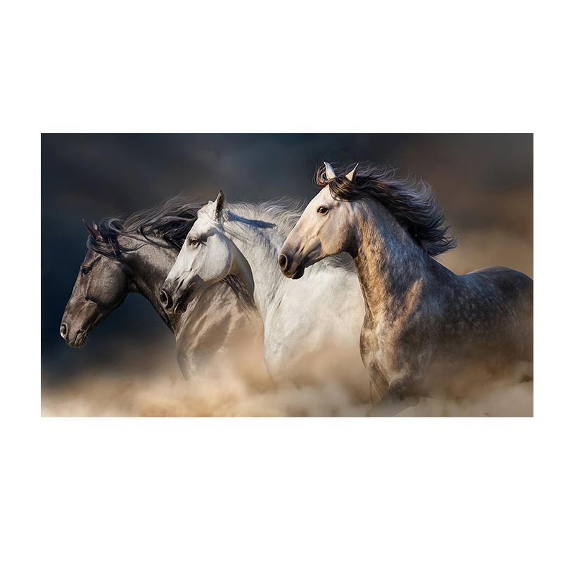 Pictură pe pânză cu trei cai care alergă, postere și imprimeuri de artă cu animale, pictură modernă, imagini de perete, pentru decorarea camerei de zi