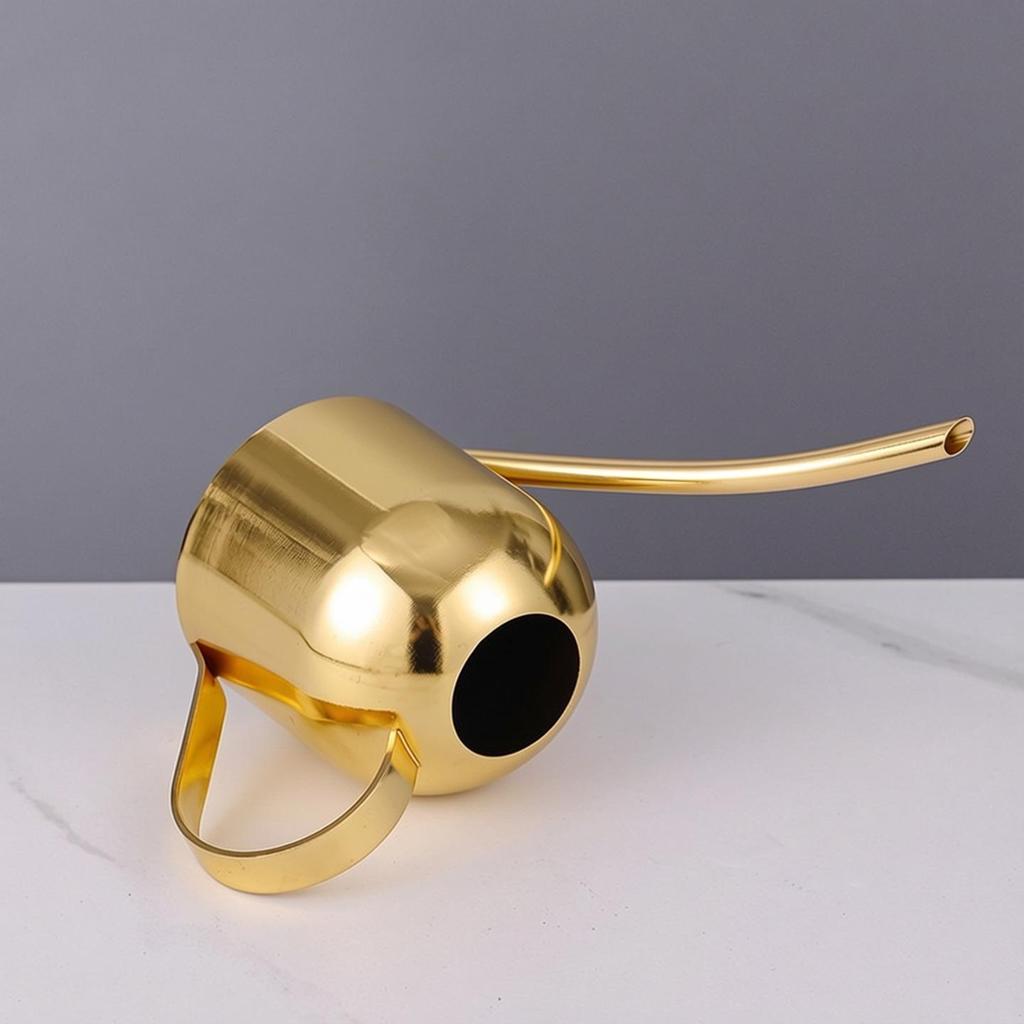 Rose Gold Stainless Steel Watering Can with Spout, Retro Style, 1000ML for Succulents and Green Plants