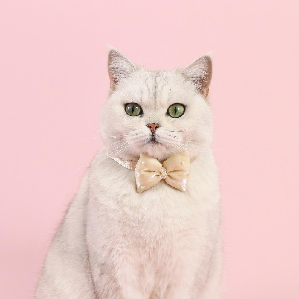 Herz-Anhänger Haustierbedarf Verstellbare Katzenhalsbänder Mode-Haustierhalsband Haustier-Accessoires