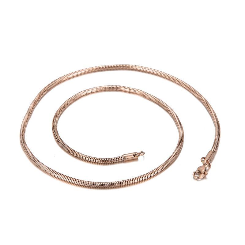Trendy Simple Electroplated Titanium Steel Men's and Women's Round Snake Bone Necklace