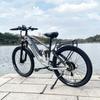 Ebike SYR03 Terénní elektrické horské kolo 1000W 48V 20AH Kolo napájené lithiovou baterií soft tail tlumení nárazů do terénu