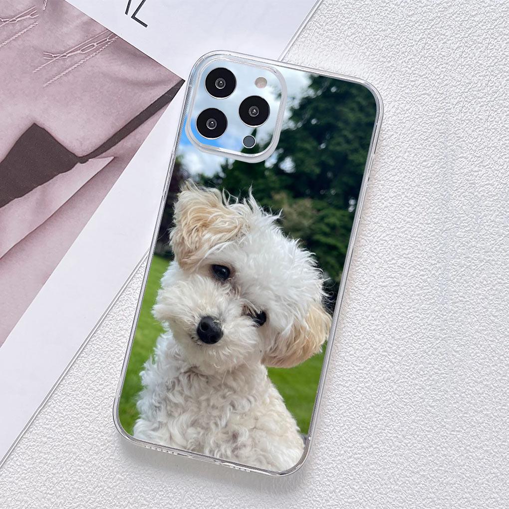

Poodle Bichon Frise Dog Cover Phone Case for Motorola Moto G13 G14 G53 G54 G62 G72 G82 G84 Edge 40 neo pro Funda Casing Moto G84 5G