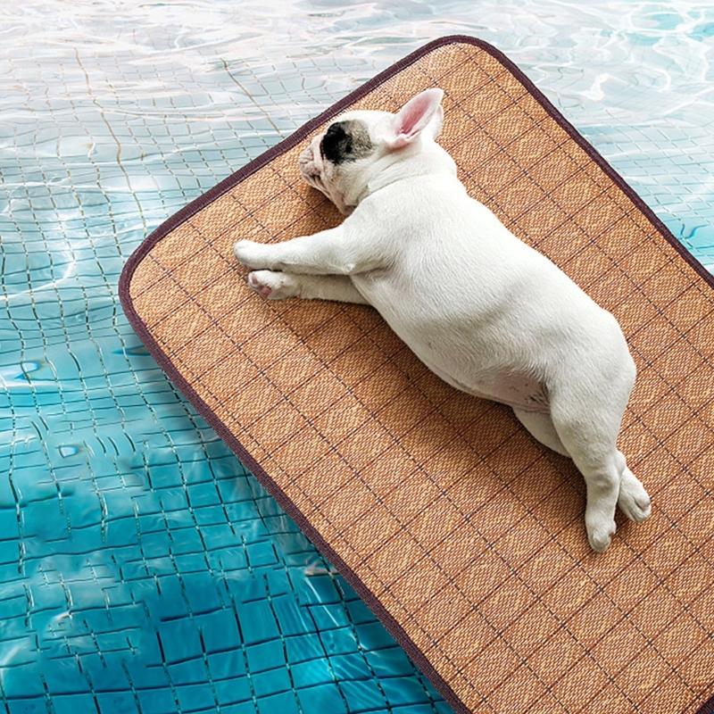 Pet Cooling Bed Large Cats Dog Sleep Bed Indoor Sofa Cats for Indoor Home and Travel Reversible Mat