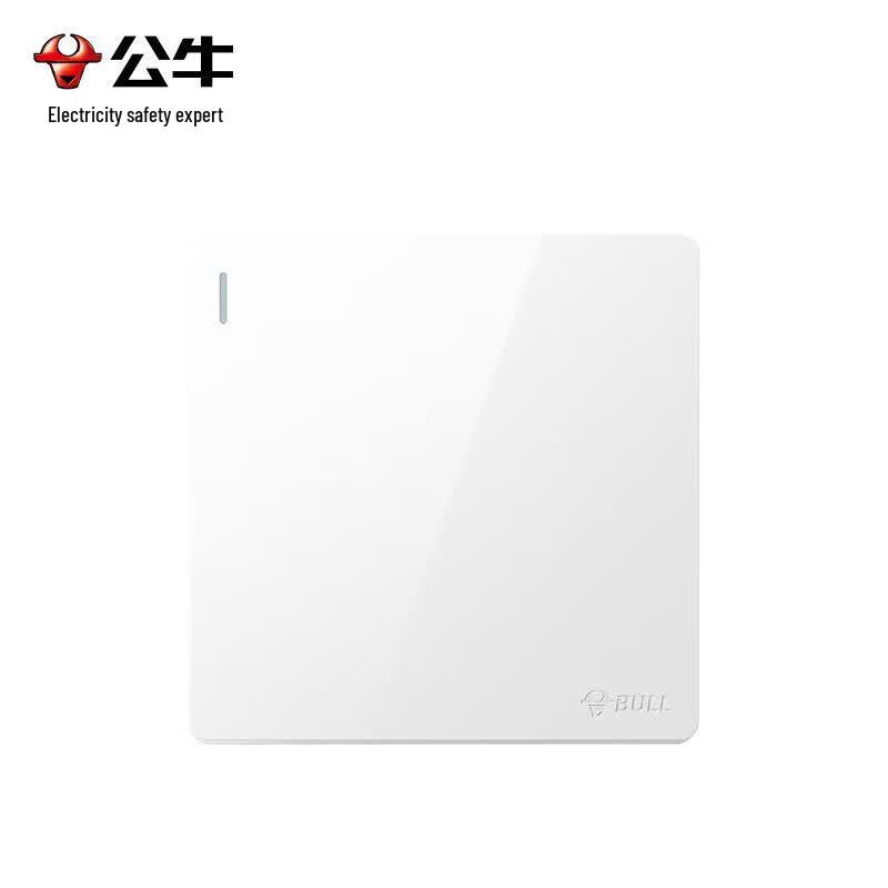 BULL GNE280FV Single Gang Surface-Mounted Power Switch Panel