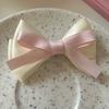 2Pcs Girl Hair Pins Bowknot Decor Double-Layered Ribbon Design Side Bangs Hair Clips Hair Accessories Daily Wear