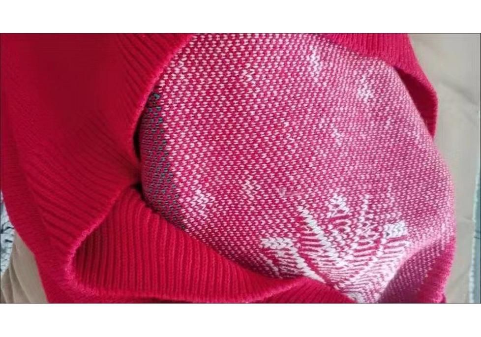 Women's 2024 Autumn Winter Round Neck Loose Knit Christmas Sweater Pullover