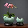 Keramik-Orchideen- und Sukkulenten-Übertopf: Luxuriöser Stil für Phalaenopsis, Geldbaum & Farn.