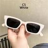 Small Rectangle Women Sun Glasses Brand Men Uv Shades Retro Square Black Sunglasses  Luxury Glasses White Decoration Eyewear