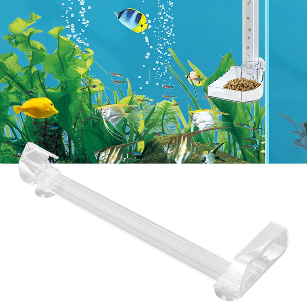 Fish Shrimp Feeder Tube Large Plate Fixed Point Feeding Acrylic Clr Shrimp Feeding Tube for Aquarium Fish  