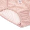 Aimer Women's Lace Mesh Cotton Crotch Low-Rise Underwear AM237721