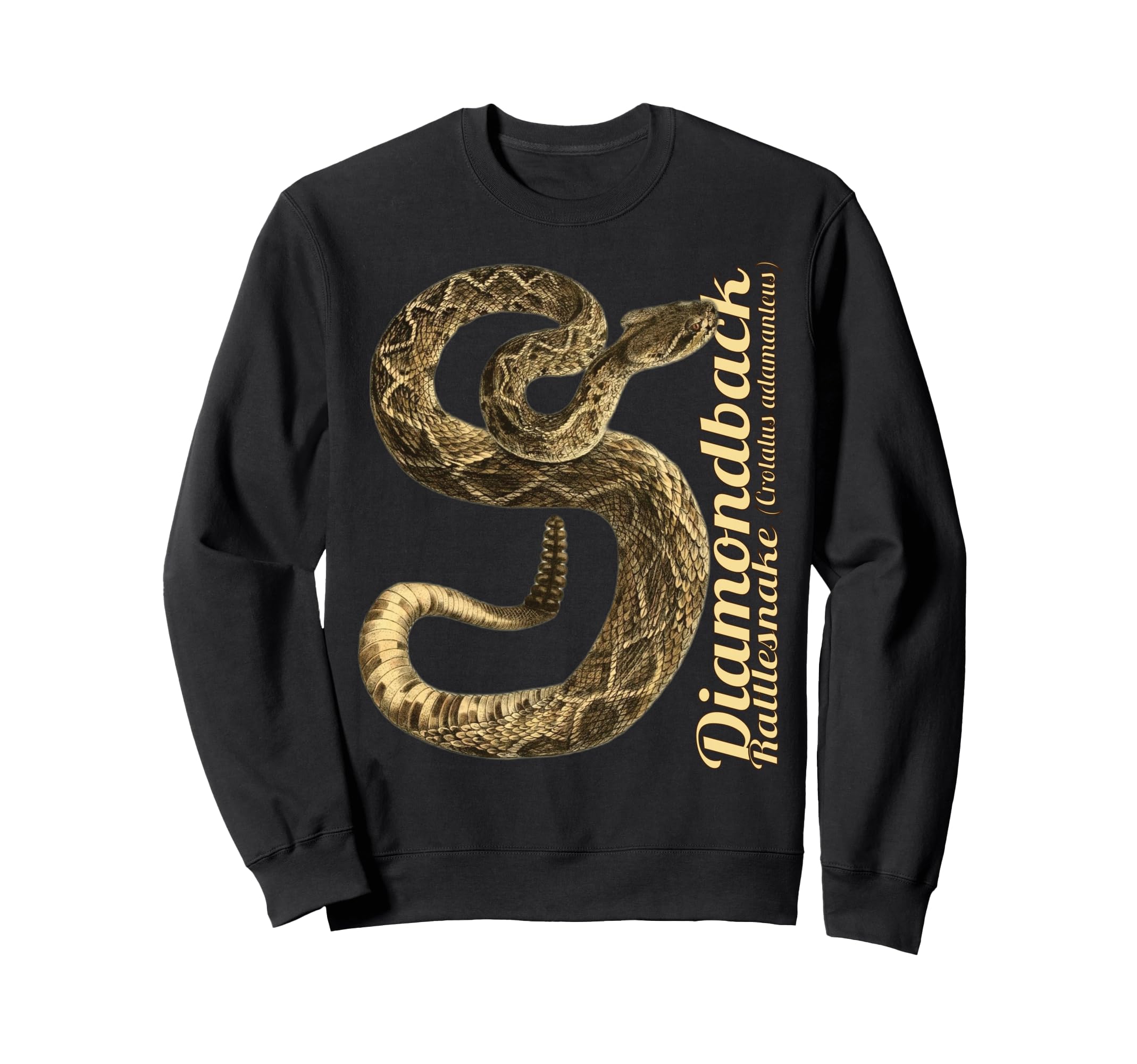 Техасский гремучник Crotalus atrox adamanteus Тренажер