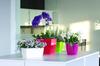 Coubi round plastic flowerpot with saucer 10x92cm