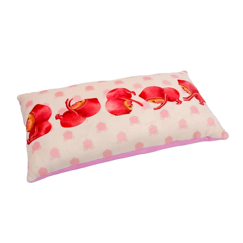 

Shinada [Kobitozukan] Fluffy Cushion (M) Clownfly Denguri Gaeshi