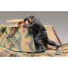 Tamiya 1/35 Military Miniature Series No. 345 German Army Medium Tank Panther D Type Plastic Mode...