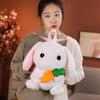 38cm Neue Mode Kreativ 3D Hamster Rucksack Niedlich Tier Cartoon Plüsch Rucksack Kaninchen Tasche für Kinder Jungen Geschenke