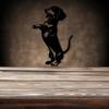 Black Metal Dachshund Wall Art, 2D Iron Dog Decor for Home & Garden Gift