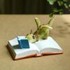 Mini Dragon Figurine Fantasy Dragon On Book Reading Statue for Fairy Garden Terrarium Bookshelf Desk Decor