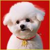Chinese Style Longevity Lock Pet Collar Adjustable Lucky Red Neck Decoration for Cats Dogs Festive Gift