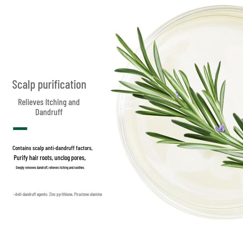 CENTAINE Black Tea Anti-Dandruff & Itch Relief Shampoo